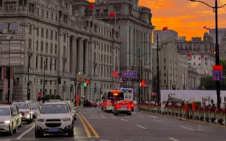 愛(ài)上海愛(ài)北京：一份城市情感驗(yàn)證帖的深度剖析